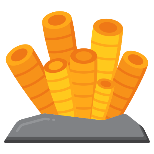 Cepe una Joya Natural